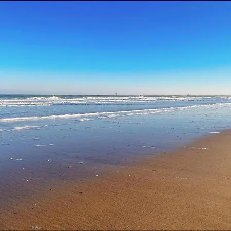 In Duinbergen By The Sailing School * Knokke-Heist